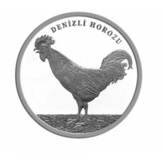 Türkiye’ye Özgü Hayvanlar / Denizli Horozu Türkiye’ye Özgü Hayvanlar / Denizli Horozu